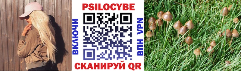 Купить  Усть-Катав  Псилоцибиновые грибы Magic Shrooms 